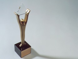 Stevie Award Trophaee