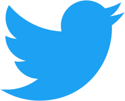 Twitter Logo 250